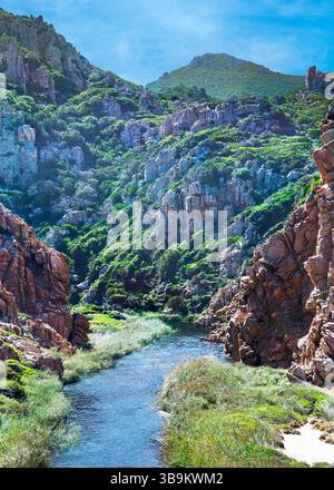 Zauberhafter Weg ins Paradies am Strand Li Cossi in Sardinien, Italien. Stockfoto