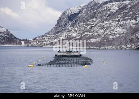 Bauernhof Lachs Angeln in Norwegen. Norwegen ist der größte Produzent von Zuchtlachs in der Welt, mit mehr als einer Million Tonnen pro Jahr produziert werden. Stockfoto