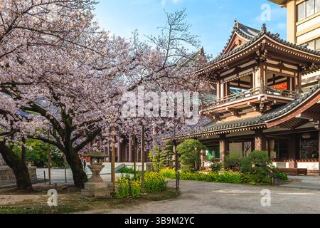 Tochoji, ein Shingon-Tempel in Hakata, Fukuoka, Japan. Stockfoto