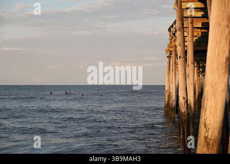 Surfer warten auf die rechte Schwelle am Avon Pier an den Outer Banks von North Carolina Stockfoto