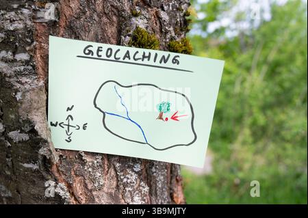 Geocaching, Freizeitaktivitäten im Freien, Navigation zum Verstecken und Suchen von Containern, Geocache-Standort im Wald, Schatzjagd-Spiel, Hinweis auf Baum t Stockfoto