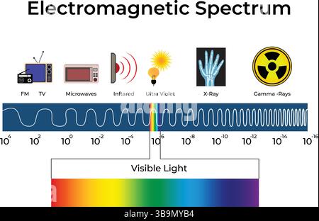 Illustration Des Entwurfs Des Elektromagnetischen Spektrums Stock Vektor