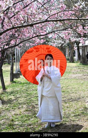 Japanische Frau, die einen roten Wagasa-Regenschirm mit traditionellem japanischem Kimono in Kyoto, Japan, hält. Stockfoto