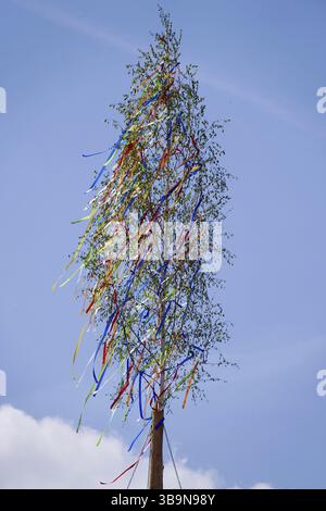 Maypole, Deutschland, Europa Stockfoto