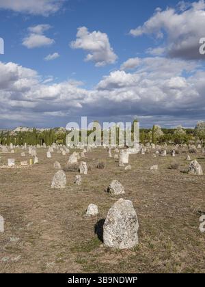 Nekropole Las Ruedas, antike Vaccea-Stadt Pintia, Padilla de Duero, Provinz Valladolid, Spanien, Europa Stockfoto