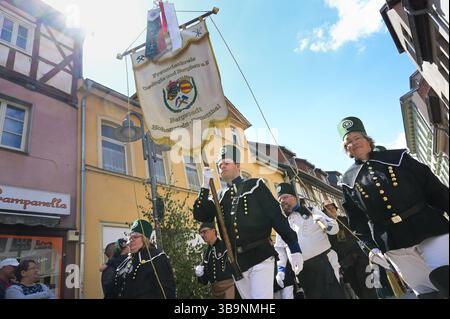 Sangerhausen, Deutschland. Mai 2025. Bergleute aus Hohenstein-Ernstthal ziehen während der Bergbauparade 2025 durch die Innenstadt. Die Parade ist der Höhepunkt des Jubiläumsjahres „825 Jahre Kupferschieferabbau im Bergbaugebiet Sangerhausen und der Mansfeld Mulde“. Der Bergbau hat die Landschaft und die Menschen in der Region geprägt und ist bis heute sichtbar. Quelle: Heiko Rebsch/dpa/Alamy Live News Stockfoto