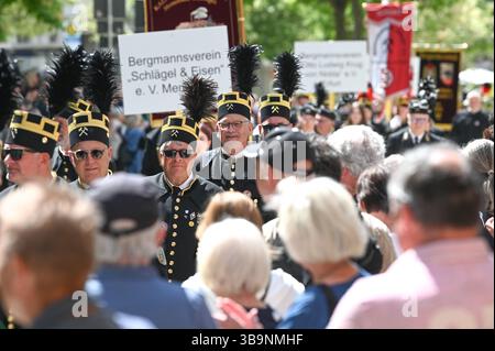 Sangerhausen, Deutschland. Mai 2025. Bergleute aus Bleicherode ziehen während der Bergbauparade 2025 durch das Stadtzentrum. Die Parade ist der Höhepunkt der Feierlichkeiten „825 Jahre Kupferschieferbergbau im Bergbaugebiet Sangerhausen“ und der Mansfeld Mulde. Der Bergbau hat die Landschaft und die Menschen in der Region geprägt und ist bis heute sichtbar. Quelle: Heiko Rebsch/dpa/Alamy Live News Stockfoto