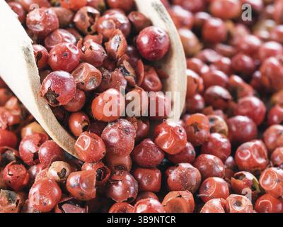 Holzlöffel gefüllt mit getrockneten rosa Pfefferbeeren. Nahaufnahme des rosafarbenen Pfefferkörns Stockfoto