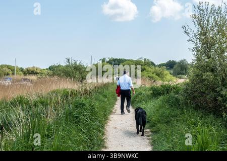 Fußweg neben dem Fluss Frome, Wareham Dorset. Stockfoto