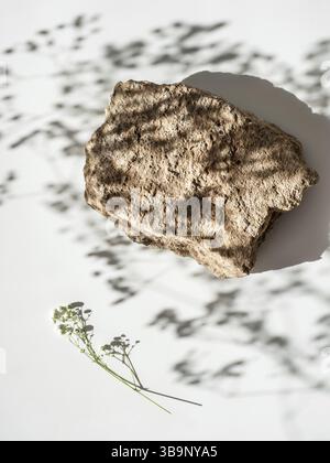 Modell geometrische Form Podium Draufsicht. Steinform mit Gypsophila-Blüten auf weißem Hintergrund. Vertikal. Flach liegend. Kann als Parfüm und c Stockfoto