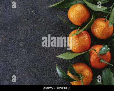 Mandarinen, Orangen, Mandarinen, Clementinen, Zitrusfrüchte mit Blättern auf schwarzem Zementhintergrund. Draufsicht oder flach. Kopierbereich Stockfoto