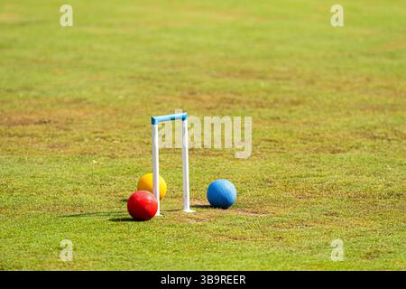 Krocketbällchen in Rot, Gelb und Blau in der Nähe eines weißen Wickels auf einem sonnigen Rasen. Stockfoto