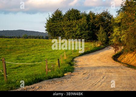 Dirt Country Road Entlang Green Fields Stockfoto