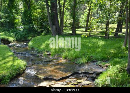 Der Felsbach eines der Bäche, der aus den vielen kleinen Quellen im Hidden Waters Park in Marshfield, MO, Missouri, USA, fließt. Usa Stockfoto