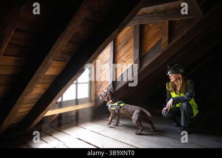 National Dogs Day – Pip, ein „verrottungsvoller Hund“, der mit dem Hundeführer Isobel Mar im St. Bartholomew’s Hospital North Wing, Großbritannien, nasse und trockene Fäule herausschnuppern ‘ Stockfoto