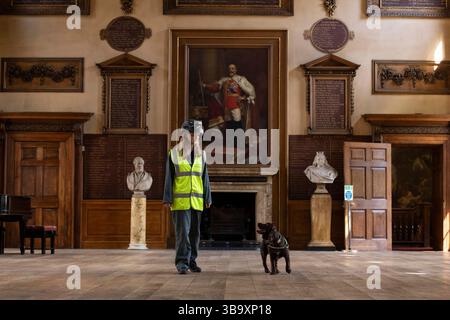 National Dogs Day – Pip, ein „verrottungsvoller Hund“, der mit dem Hundeführer Isobel Mar im St. Bartholomew’s Hospital North Wing, Großbritannien, nasse und trockene Fäule herausschnuppern ‘ Stockfoto