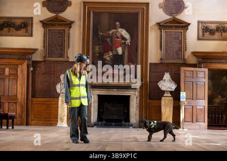 National Dogs Day – Pip, ein „verrottungsvoller Hund“, der mit dem Hundeführer Isobel Mar im St. Bartholomew’s Hospital North Wing, Großbritannien, nasse und trockene Fäule herausschnuppern ‘ Stockfoto
