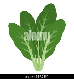 Mangold, grünes Blattgemüse. Cartoon Vektor Stil Clipart Illustration. Stock Vektor
