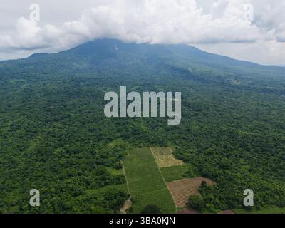 Grüne Vulkanlandschaft mit Blick auf die Landwirtschaftsfläche aus der Luft Stockfoto
