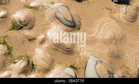 Seltsame künstlerische Bildung von Sandkräuseln, die Muster auf großen runden Steinen am Strand bilden, während die Flut in Westward Ho!, Devon, ausgebrochen ist Stockfoto