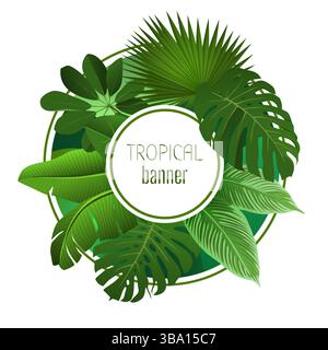 Tropisches Banner. Exotische Pflanzen, Palmblätter, runder Rahmen, Kopierraum für Text. Etikettendesign mit Monstera und Dschungelblatt. Regenwaldgarten. Dekoratives Emblem. Vektor-isolierte botanische Illustration Stock Vektor