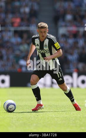 Newcastle upon Tyne, Großbritannien. Mai 2025. Harvey Barnes von Newcastle United während des Premier League-Spiels zwischen Newcastle United und Chelsea im St. James' Park, Newcastle upon Tyne. Der Bildnachweis sollte lauten: Nigel Roddis/Sportimage Credit: Sportimage Ltd/Alamy Live News Stockfoto
