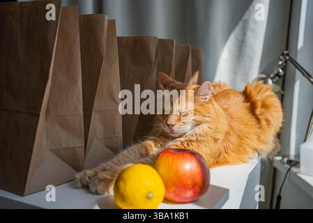 Flauschige Ingwerkatze schläft friedlich auf einem weißen Tisch neben mehreren braunen Papiertüten und frischem Obst und genießt das Sonnenlicht, das durch ein Fenster in der Nähe strömt Stockfoto