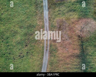 Die Straße durchquert ein Grasfeld Stockfoto