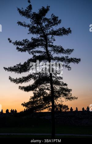 Silhouetten von Menschen, die von der Kalemegdan-Festung in Belgrad, der Hauptstadt Serbiens, den Sonnenuntergang genießen Stockfoto