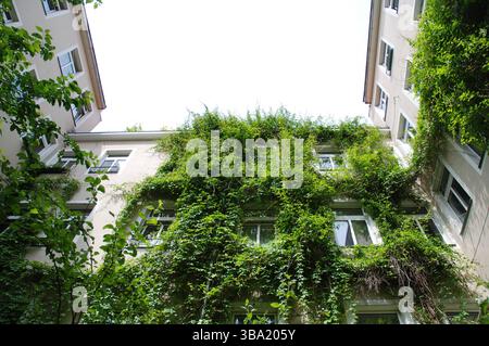Fassade eines Mehrfamiliengebäudes mit grünen Pflanzen und Vegetation Stockfoto