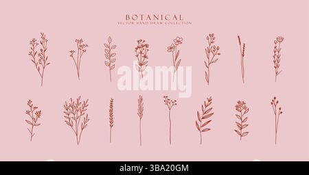 Set aus Blumen und Pflanzen, trendige botanische Elemente. Minimalistische Kollektion mit handgezeichneter Linie Stock Vektor