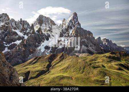 Cimon della Pala (auch Matterhorn der Dolomiten genannt) mit schneebedeckten Gipfeln Grasfelder im Vordergrund. San Martino di Castrozza, Italien, S Stockfoto