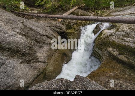 Fantastische Wanderung auf dem erstklassigen Wanderweg Wild Water bei Oberstaufen zu den Buchenegger Wasserfällen im Allgau, Bayern Stockfoto