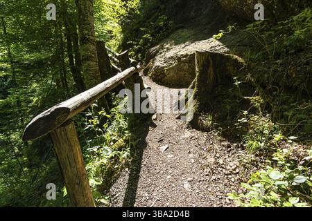 Durch das schöne Ostertaltobel im Gunzesriedtal im Allgau bei Blaichach, Sonthofen Stockfoto