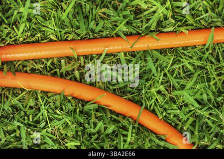 Draufsicht, orangefarbener Gartenschlauch in grünem Gras - Farbkontrast, Lapta, Zypern, Europa Stockfoto