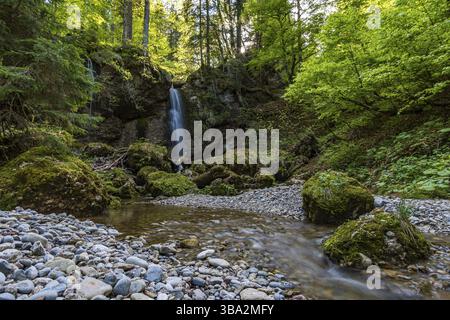 Durch das schöne Naturschutzgebiet Aachtobel im Gunzesriedtal im Allgau Stockfoto