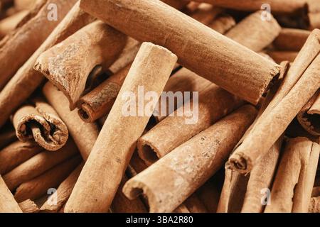 Bio-Zimtstäbchen - Nahaufnahme, Liptovsky Hradok, Slowakei, Europa Stockfoto