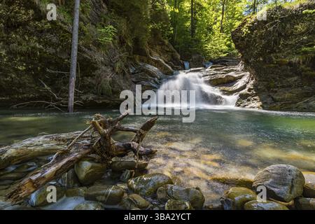Durch das schöne Ostertaltobel im Gunzesriedtal im Allgau bei Blaichach, Sonthofen Stockfoto