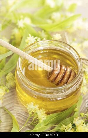 Honig in Glasgläsern mit weißen Lindenblüten auf hellem hölzernem Hintergrund. Geringe Schärfentiefe Stockfoto