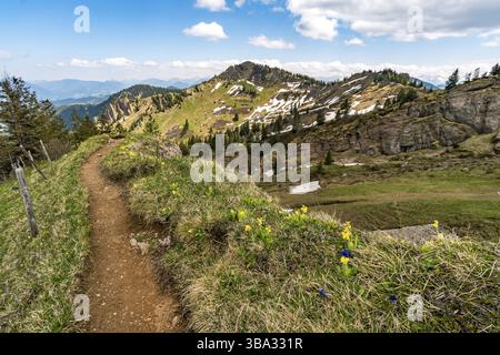 Fantastische Bergtour zum Siplingerkopf und Heidelbeerkopf vom Gunzesriedtal in den Allgauer Alpen Stockfoto