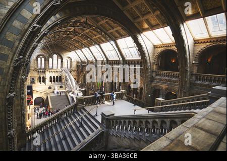 London, Vereinigtes Königreich - 17. April 2019 - die zentrale Halle des Natural History Museum in South Kensington, London, Vereinigtes Königreich, Vereinigtes Königreich Stockfoto