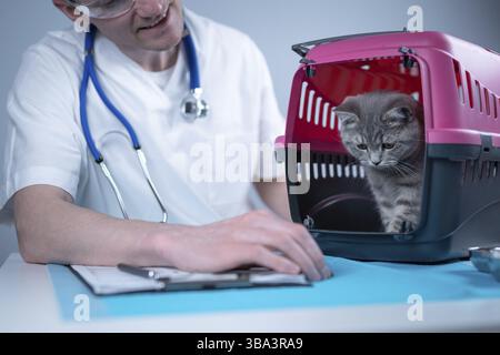 Katze im Tierträger auf Untersuchungstisch der Tierarztklinik mit Tierarzt. Männlicher Tierarzt in weißem medizinischen Anzug macht Notizen bei der Untersuchung ta Stockfoto