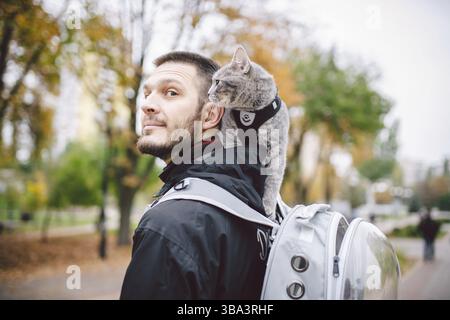Niedliche graue junge Katze gekleidet Leine für Katzen draußen in der Herbstparkstraße, steht auf der Schulter des Besitzers, Rückseite des Mannes gekleidet transparenten Katze Rucksack, Stockfoto