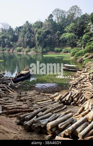 Entlang der Ufer des Kaptai-Sees in Rangamati, Bangladesch, stapelten sich Holzscheite, wo Boote die lokalen Holzfällbetriebe in den Hügeln unterstützen. Stockfoto