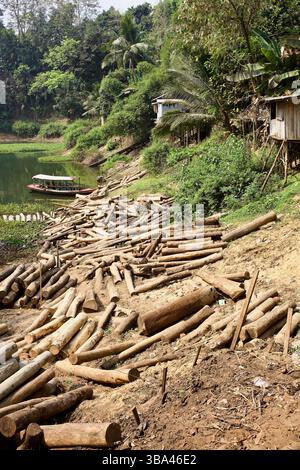 Entlang der Ufer des Kaptai-Sees in Rangamati, Bangladesch, stapelten sich Holzscheite, wo Boote die lokalen Holzfällbetriebe in den Hügeln unterstützen. Stockfoto