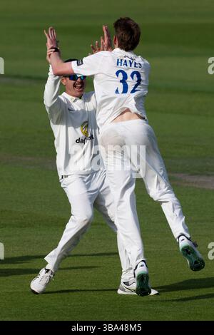 Sussex V Worcestershire - Rothesay County Championship HOVE, ENGLAND - 11. MAI: Bowler James Hayes aus Sussex feiert sein erstes, 1. Klasse Wicket Stockfoto