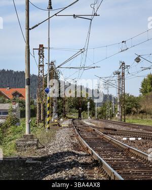 Leere Bahngleise an einem sonnigen Sommertag, in ländlicher Gegend, Säulen mit vielen elektrischen Kabeln rund um Liptovsky Hradok, Slowakei, Europa Stockfoto