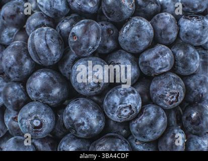 Nahaufnahme von oben auf einen Haufen Heidelbeeren Stockfoto