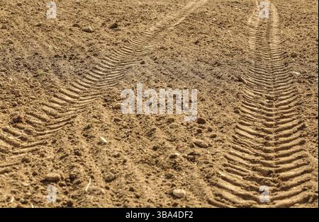 Traktorreifen auf trockenem Feld, von der Sonne beleuchtet, Liptovsky Hradok, Slowakei, Europa Stockfoto