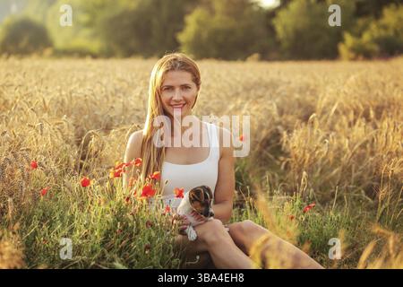 Young woman sitting with Jack Russell terrier puppy on her lap, afternoon sun lit wheat field in background, red poppy flowers next to her, Liptovsky Stockfoto